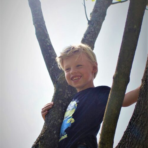 GBD_50+BEURS_IMG_6416 2 (2) Jonge Noorse Esdoorn 'Eurostar' | Hoogstam