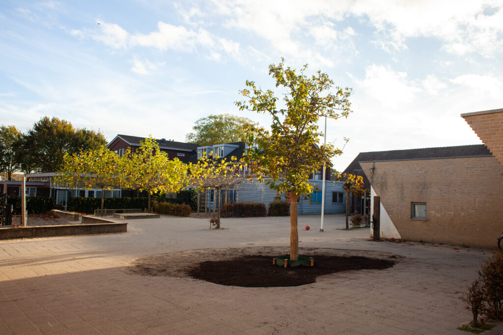 Vergroening schoolplein