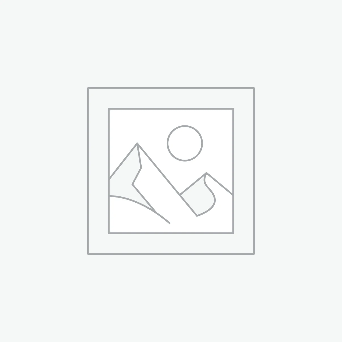 Japanse Liguster 'Texanum'